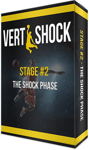 vert-shock-logo